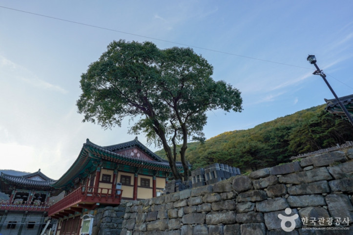 의림사 삼층석탑 여행 추천 - 메고지고