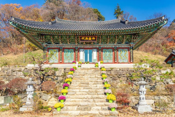 예천 목재문화체험장 여행 추천 - 메고지고