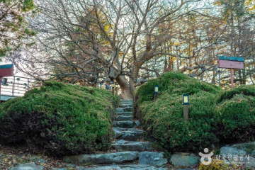 이양서원 여행 추천 - 메고지고