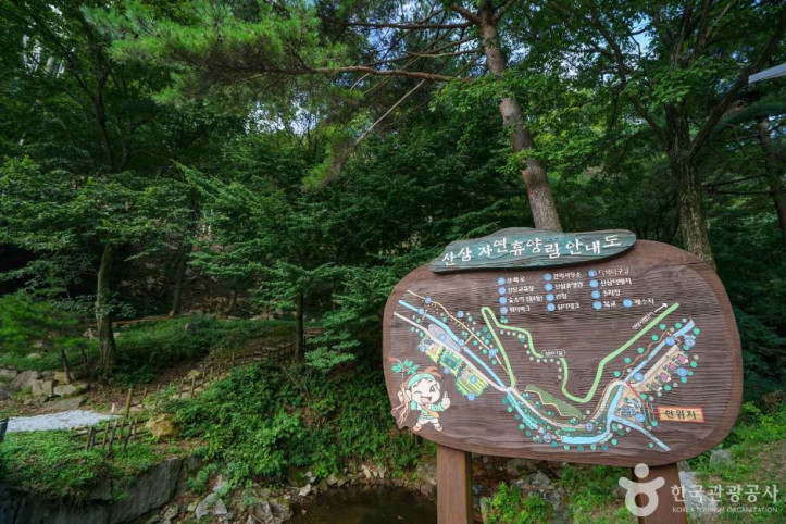 산삼 자연휴양림 여행 추천 - 메고지고