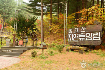 국립횡성숲체원 여행 추천 - 메고지고