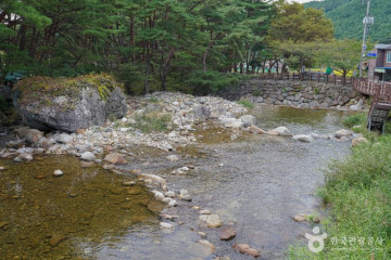 칠연의총 여행 추천 - 메고지고