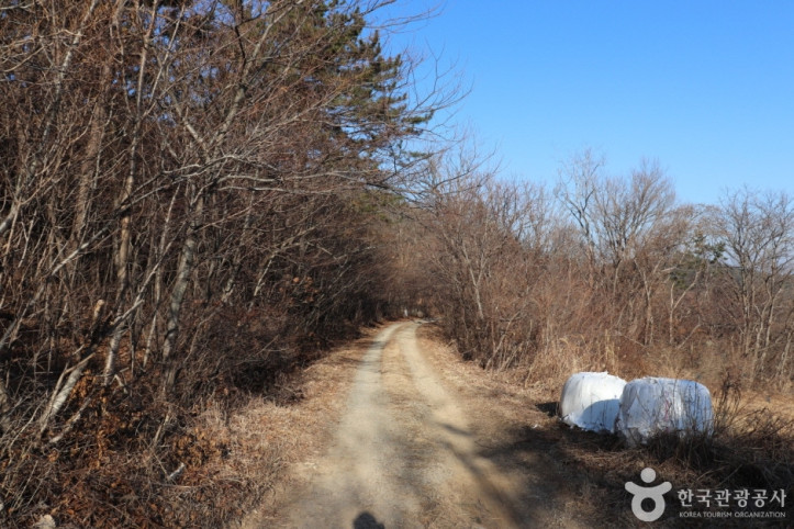 용골산 여행 추천 - 메고지고