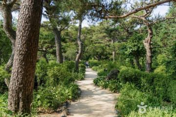 발랑저수지 여행 추천 - 메고지고