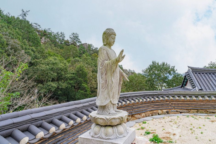 금곡사(강진) 여행 추천 - 메고지고