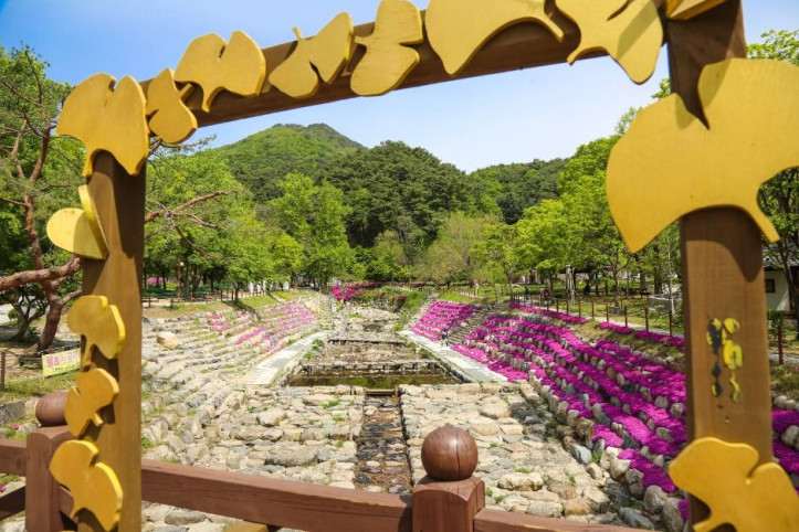 용문산관광단지 여행 추천 - 메고지고