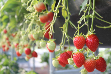 김해 롯데워터파크 여행 추천 - 메고지고