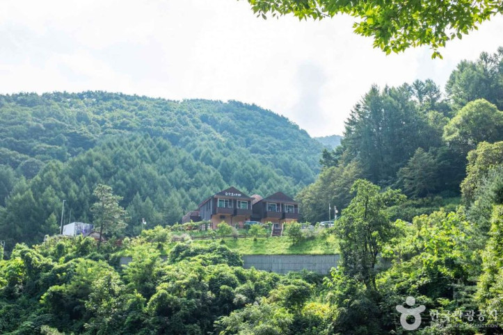 수도산자연휴양림 여행 추천 - 메고지고