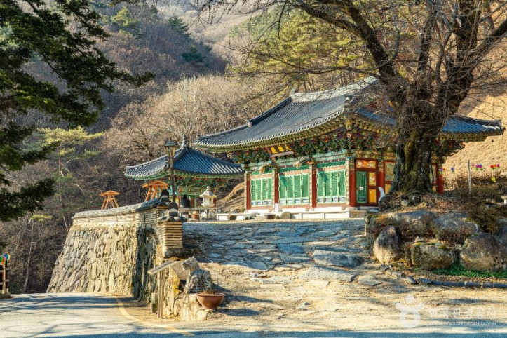 용추사(함양) 여행 추천 - 메고지고