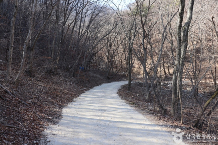 경주 왕의 길 여행 추천 - 메고지고
