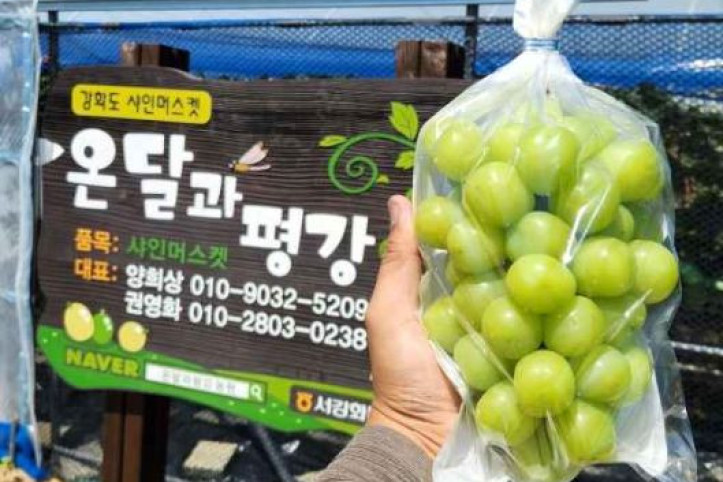 온달과평강농원 여행 추천 - 메고지고