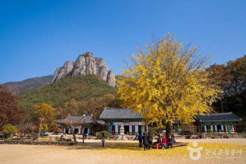 용추 협곡 여행 추천 - 메고지고