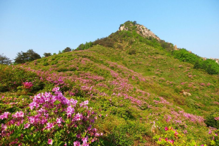 월여산 여행 추천 - 메고지고