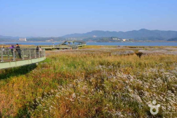 익산 입점리 고분 여행 추천 - 메고지고