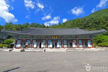 만항재 여행 추천 - 메고지고