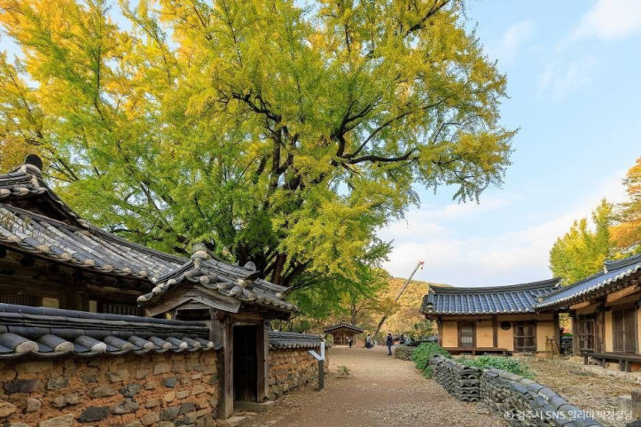 경주 유연정 여행 추천 - 메고지고