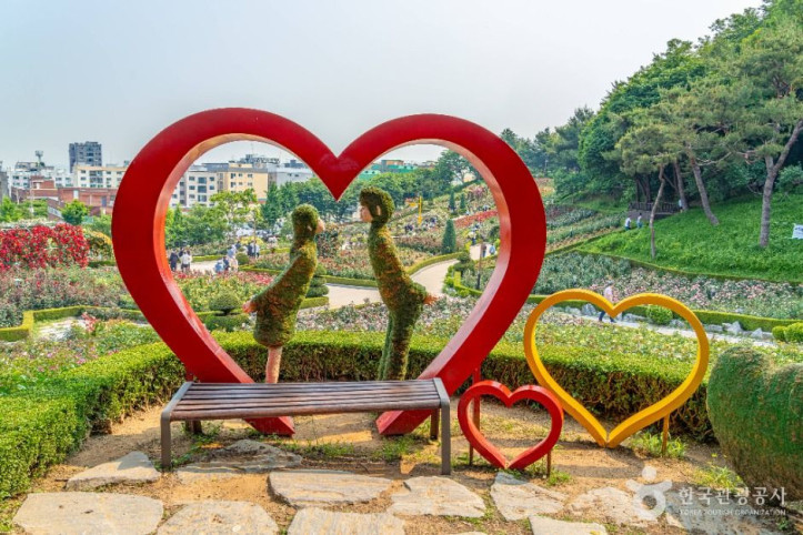 백만송이장미원 여행 추천 - 메고지고