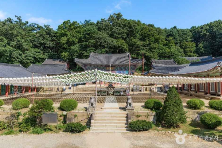 봉선사(남양주) 여행 추천 - 메고지고