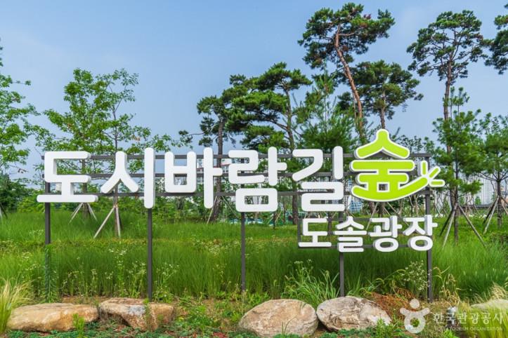 도솔광장 여행 추천 - 메고지고
