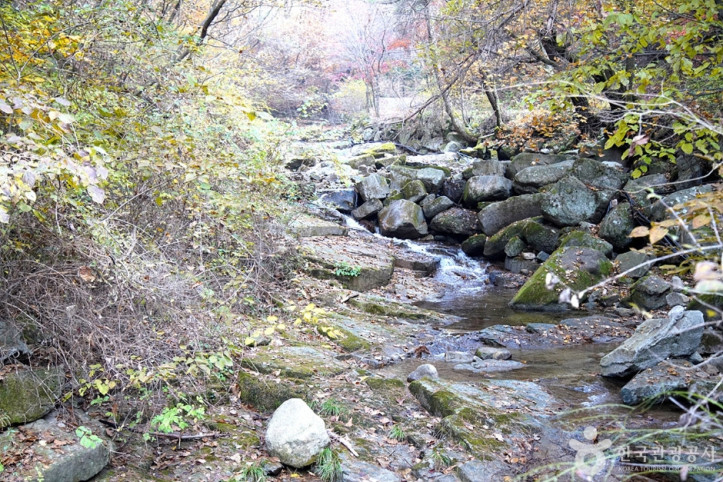 천은사계곡(원주) 여행 추천 - 메고지고