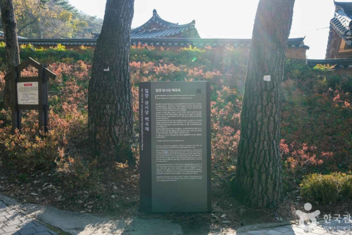 금시당 여행 추천 - 메고지고