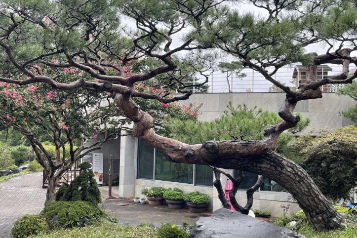 그림같은 수목원(그림이 있는 정원) 여행 추천 - 메고지고