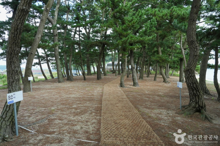 용신어촌체험마을 여행 추천 - 메고지고