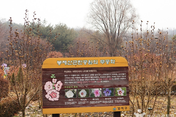 봉제산공원 여행 추천 - 메고지고