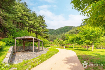 누리천문대 여행 추천 - 메고지고