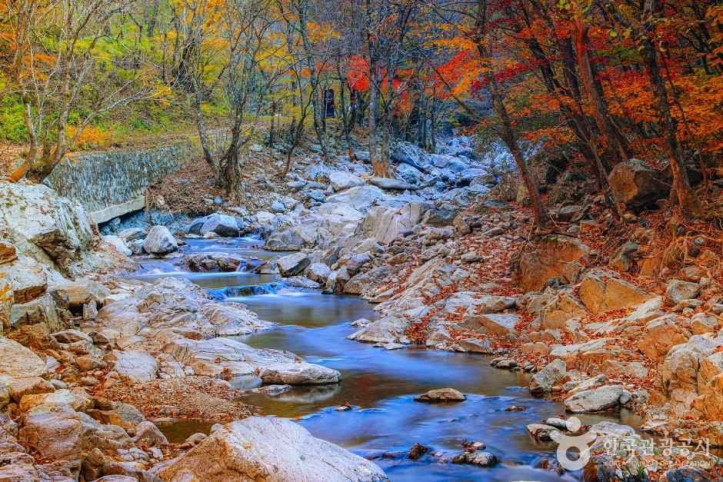 미천골계곡 여행 추천 - 메고지고