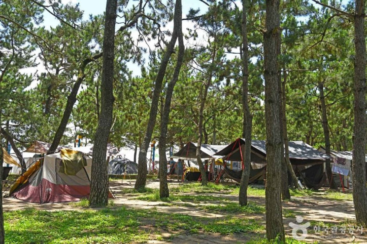 율포해수욕장(솔밭해변) 여행 추천 - 메고지고