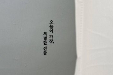 케이스타로드(KstarROAD) 여행 추천 - 메고지고