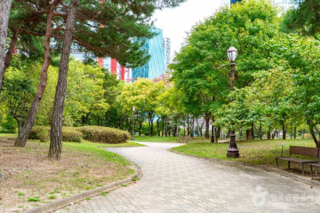 여의도공원 문화의마당 여행 추천 - 메고지고