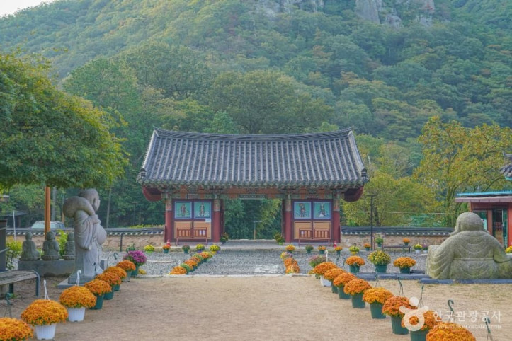 장안사(부산) 여행 추천 - 메고지고