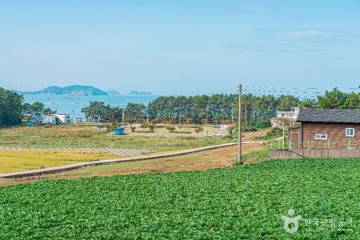 땅끝송호해수욕장 여행 추천 - 메고지고