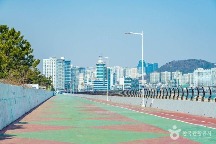 삼익비치수변공원 여행 추천 - 메고지고