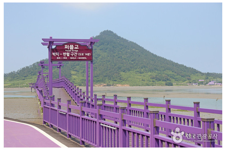 반월도·박지도 여행 추천 - 메고지고