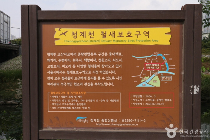 청계8경 버들습지 여행 추천 - 메고지고