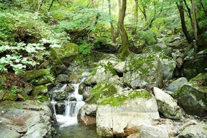 인제 미산리 개인약수 여행 추천 - 메고지고