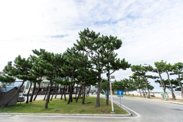 오션벨리리조트 여행 추천 - 메고지고