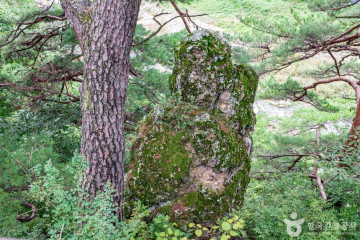 불영사(울진) 여행 추천 - 메고지고