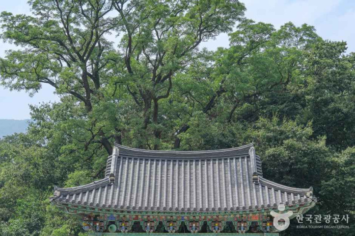 표충사(밀양) 여행 추천 - 메고지고