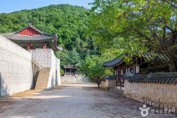 문경에코월드 여행 추천 - 메고지고