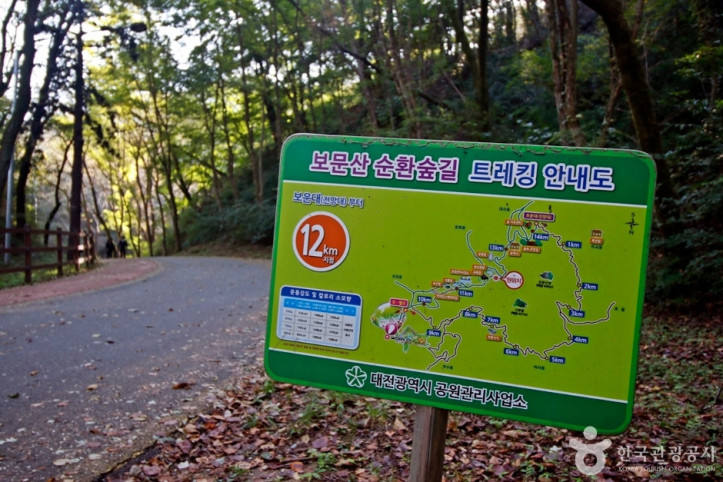 보문산 행복 숲 둘레길 여행 추천 - 메고지고