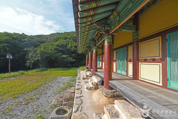 선운산 생태숲 여행 추천 - 메고지고