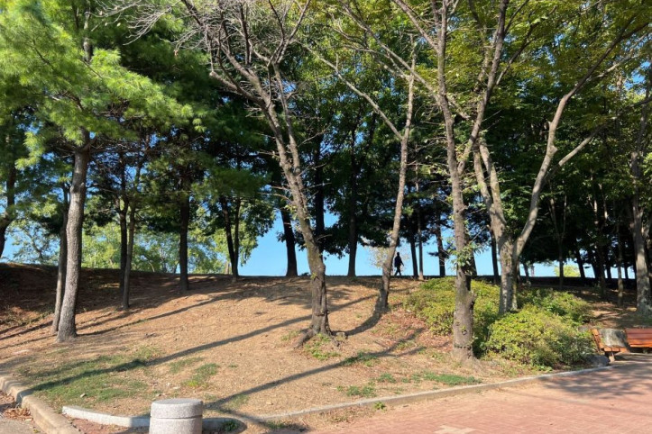경산 임당동과 조영동 고분군 여행 추천 - 메고지고