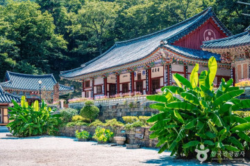 대원사계곡 여행 추천 - 메고지고