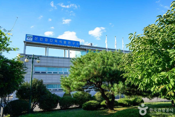 선인장다육식물연구소(구 선인장연구소) 여행 추천 - 메고지고