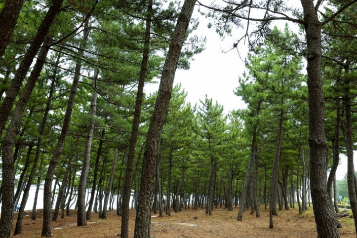 순포해변 여행 추천 - 메고지고
