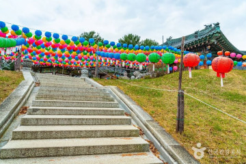 탑골마을 여행 추천 - 메고지고